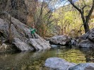 photo thumbnail #2