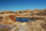 photo thumbnail #5