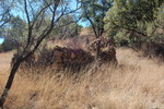 photo thumbnail #12