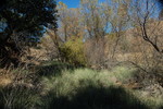 photo thumbnail #15