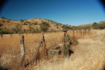 photo thumbnail #10