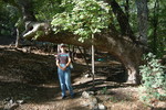 photo thumbnail #1