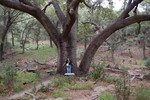 photo thumbnail #2