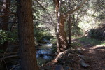 photo thumbnail #5