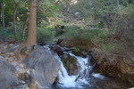 photo thumbnail #8