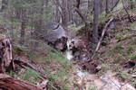photo thumbnail #14