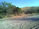 photo thumbnail #2