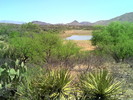 photo thumbnail #6