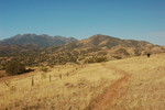 photo thumbnail #3