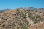 photo thumbnail #2