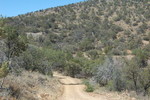 photo thumbnail #2