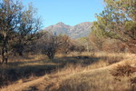 photo thumbnail #4