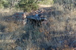 photo thumbnail #5
