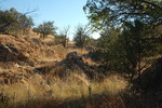photo thumbnail #9