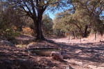 photo thumbnail #12