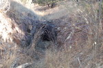 photo thumbnail #14
