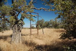 photo thumbnail #13