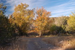 photo thumbnail #2
