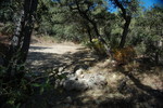 photo thumbnail #10