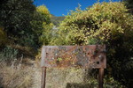 photo thumbnail #11