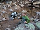 photo thumbnail #4
