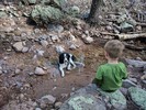 photo thumbnail #5