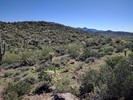photo thumbnail #1