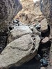 photo thumbnail #6
