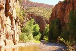 photo thumbnail #12