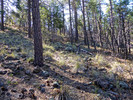 photo thumbnail #5