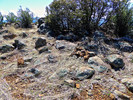 2017-03-28 :1: WILD on Pine Mountain :: FLYING_FLIVER