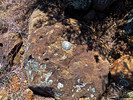 photo thumbnail #10