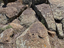 photo thumbnail #15