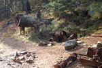 photo thumbnail #3