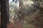 photo thumbnail #13