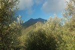 photo thumbnail #15