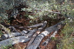 photo thumbnail #13