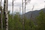 photo thumbnail #10