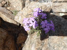 photo thumbnail #14