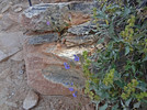 photo thumbnail #11