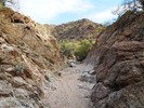 photo thumbnail #1
