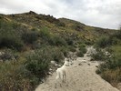 photo thumbnail #4
