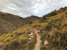 photo thumbnail #12