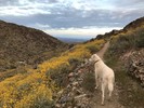 photo thumbnail #13