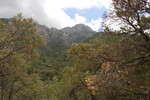 photo thumbnail #13