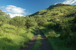photo thumbnail #4