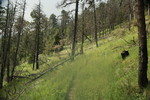 photo thumbnail #12