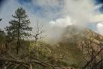 photo thumbnail #13