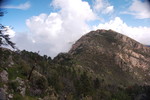 photo thumbnail #15