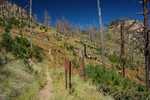 photo thumbnail #8